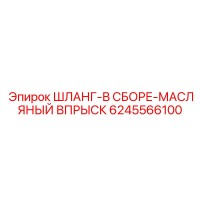 6245566100 ШЛАНГ-В СБОРЕ-МАСЛЯНЫЙ ВПРЫСК Epiroc