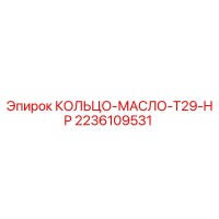 2236109531 КОЛЬЦО-МАСЛО-T29-HP Epiroc