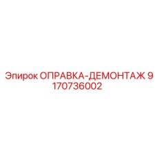9170736002 ОПРАВКА-ДЕМОНТАЖ Epiroc