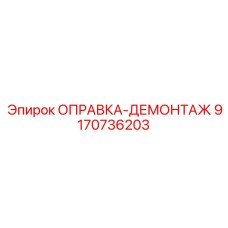 9170736203 ОПРАВКА-ДЕМОНТАЖ Epiroc