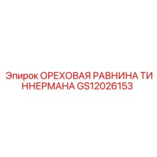 GS12026153 ОРЕХОВАЯ РАВНИНА ТИННЕРМАНА Epiroc