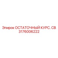 3176006222 ОСТАТОЧНЫЙ КУРС CB Epiroc