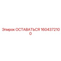 1604372100 ОСТАВАТЬСЯ Epiroc