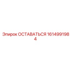 1614991984 ОСТАВАТЬСЯ (Epiroc)