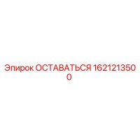 1621213500 ОСТАВАТЬСЯ Epiroc