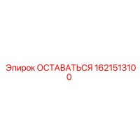 1621513100 ОСТАВАТЬСЯ Epiroc