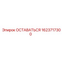 1623717300 ОСТАВАТЬСЯ Epiroc