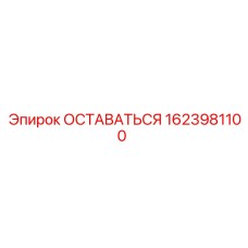 1623981100 ОСТАВАТЬСЯ Epiroc