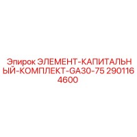 2901164600 ЭЛЕМЕНТ-КАПИТАЛЬНЫЙ-КОМПЛЕКТ-GA30-75 Epiroc
