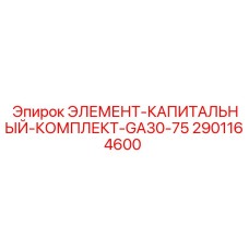 2901164600 ЭЛЕМЕНТ-КАПИТАЛЬНЫЙ-КОМПЛЕКТ-GA30-75 Epiroc