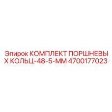 4700177023 КОМПЛЕКТ ПОРШНЕВЫХ КОЛЬЦ-48-5-MM Epiroc