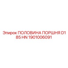 1901006091 ПОЛОВИНА ПОРШНЯ D185 HN Epiroc