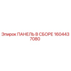 1604437080 ПАНЕЛЬ В СБОРЕ Epiroc