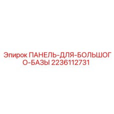 2236112731 ПАНЕЛЬ-ДЛЯ-БОЛЬШОГО-БАЗЫ Epiroc
