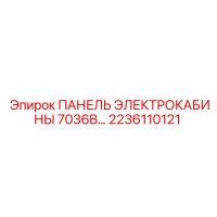 2236110121 ПАНЕЛЬ ЭЛЕКТРОКАБИНЫ 7036B Epiroc
