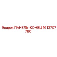 1613707780 ПАНЕЛЬ-КОНЕЦ Epiroc