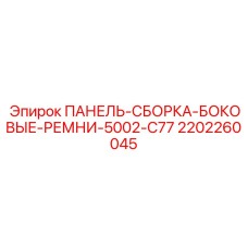 Боковые фиксирующие ремни ПАНЕЛЬ-СБОРКА-БОКОВЫЕ-РЕМНИ-5002-C77