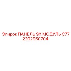 2202950704 ПАНЕЛЬ SX МОДУЛЬ C77 Epiroc