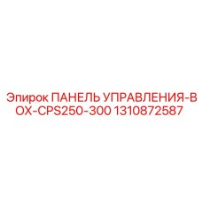 1310872587 ПАНЕЛЬ УПРАВЛЕНИЯ-BOX-CPS250-300 Epiroc