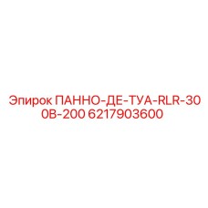 6217903600 ПАННО-ДЕ-ТУА-RLR-300B-200 Epiroc