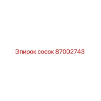 87002743 сосок Epiroc