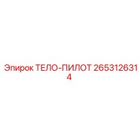 2653126314 ТЕЛО-ПИЛОТ Epiroc