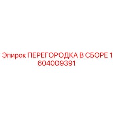 1604009391 ПЕРЕГОРОДКА В СБОРЕ Epiroc