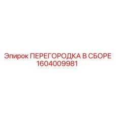 1604009981 ПЕРЕГОРОДКА В СБОРЕ Epiroc