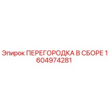 1604974281 ПЕРЕГОРОДКА В СБОРЕ Epiroc