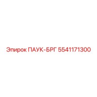 5541171300 ПАУК-БРГ Epiroc