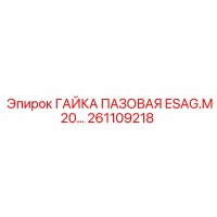 261109218 ГАЙКА ПАЗОВАЯ ESAG.M20 Epiroc