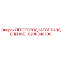 6236346700 ПЕРЕГОРОДЧАТОЕ РАЗДЕЛЕНИЕ Epiroc