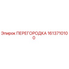 1613710100 ПЕРЕГОРОДКА Epiroc