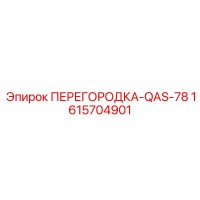 1615704901 ПЕРЕГОРОДКА-QAS-78 Epiroc