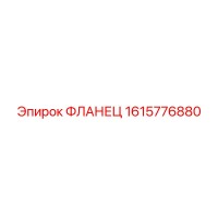 1615776880 Фланец Epiroc