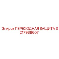 3217989607 ПЕРЕХОДНАЯ ЗАЩИТА Epiroc