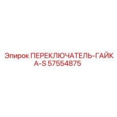 57554875 ПЕРЕКЛЮЧАТЕЛЬ-ГАЙКА-S Epiroc