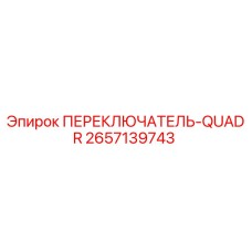 2657139743 ПЕРЕКЛЮЧАТЕЛЬ-QUADR Epiroc