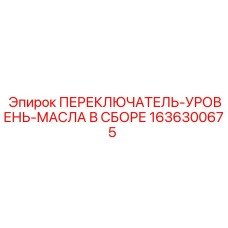 1636300675 ПЕРЕКЛЮЧАТЕЛЬ-УРОВЕНЬ-МАСЛА В СБОРЕ Epiroc