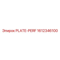 1612346100 PLATE-PERF Epiroc