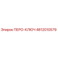 4812010579 ПЕРО-КЛЮЧ Epiroc