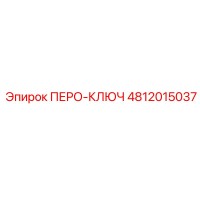 4812015037 ПЕРО-КЛЮЧ Epiroc