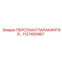1127450967 ПЕРСОНАЛ ПАРАКИНГИЯ Epiroc
