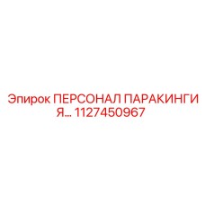 1127450967 ПЕРСОНАЛ ПАРАКИНГИЯ Epiroc