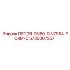 5730007257 ПЕТЛЯ-DN80-DIN7954-FORM-C Epiroc