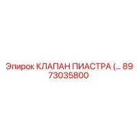 8973035800 КЛАПАН ПИАСТРА Epiroc