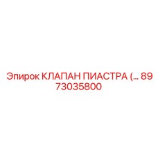 8973035800 КЛАПАН ПИАСТРА Epiroc