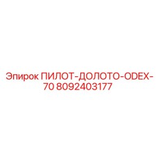 8092403177 ПИЛОТ-ДОЛОТО-ODEX-70 Epiroc