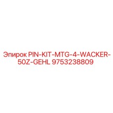 9753238809 PIN-KIT-MTG-4-WACKER-50Z-GEHL Epiroc