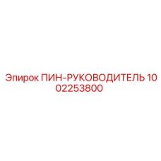 1002253800 ПИН-РУКОВОДИТЕЛЬ Epiroc
